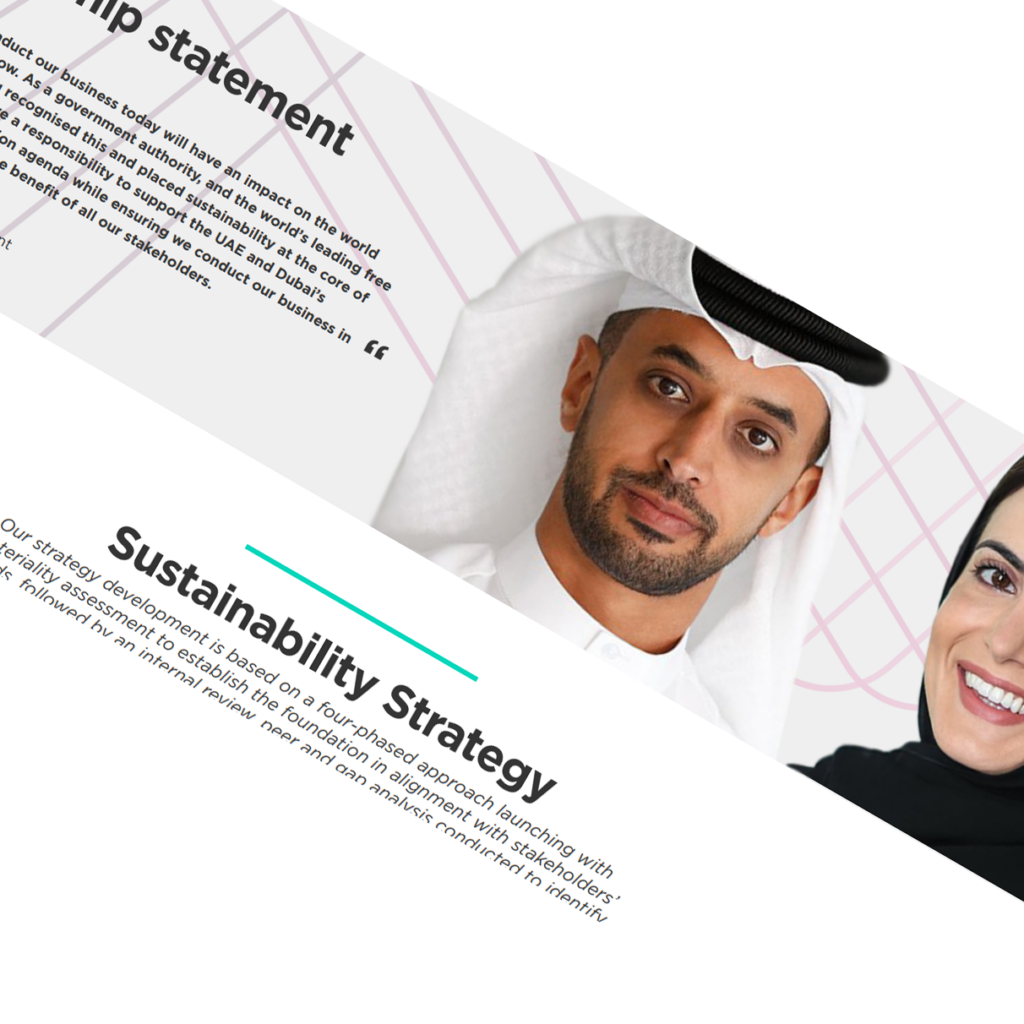 DMCC project preview